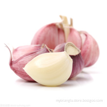 Cheap price garlic_wholesale garlic_exporters garlic white